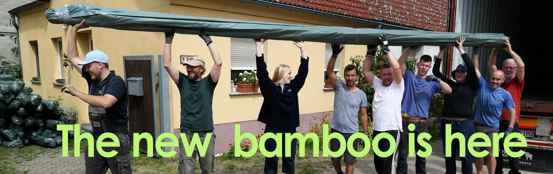 Lo o Bambusa procera